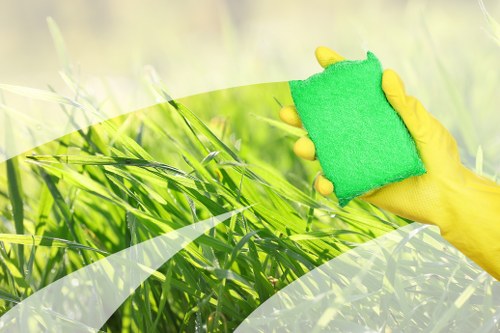 Sofa cleaning service in a Putney living room