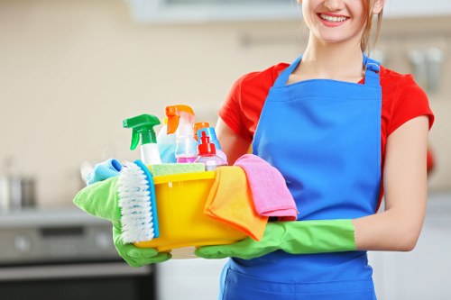 Professional upholstery cleaning for a sofa in Putney