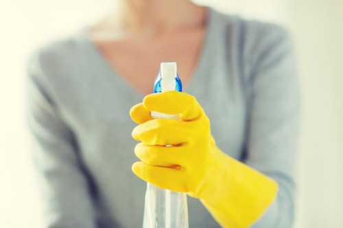 Local cleaning team working in a Putney apartment building