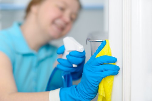Local upholstery cleaning process for sofas and armchairs