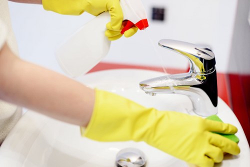 Professional steam carpet cleaning for Putney homes and flats