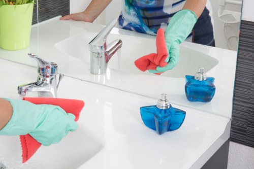 Professional house cleaning in a Putney apartment