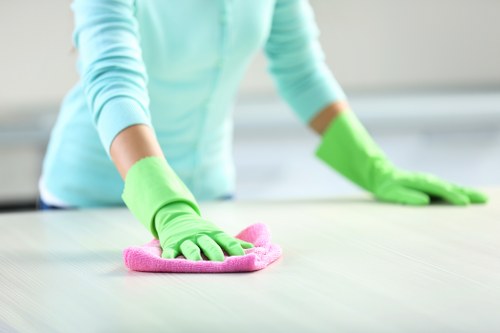 Regular cleaning checklist prepared for a Putney property