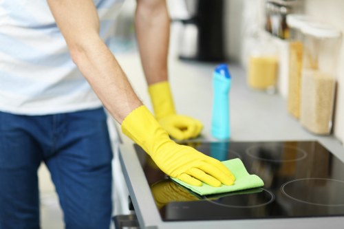 Deep rug cleaning process for stained rugs in Putney