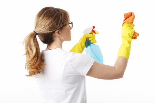 Cleaner inspecting carpet condition before treatment