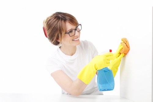 Household cleaning support for homes in Putney
