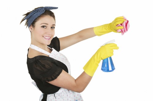 Deep cleaning of busy office carpets in Putney commercial premises
