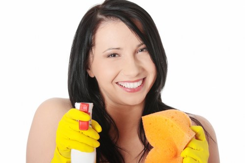 Cleaning treatment for carpet stains in a Putney property