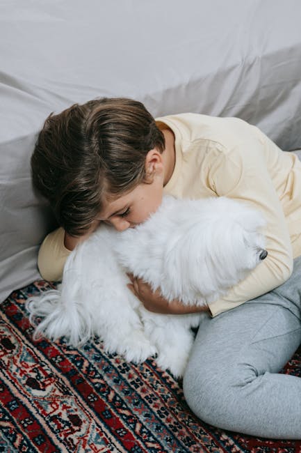 A young boy with short brown hair, dressed in a cream long-sleeve top and light grey sweatpants, lying on a patterned area rug with intricate red, blue, and beige designs. He is resting on his side, embracing a fluffy white dog with a thick coat and black nose, in a cozy indoor setting with grey-painted walls and a grey fabric surface behind him. The scene is softly lit, emphasizing a neat and clean environment, indicative of professional domestic cleaning focused on maintaining hygiene and freshness, as promoted by Carpet Cleaning Putney for pet odour and stain treatment in Putney flats.
