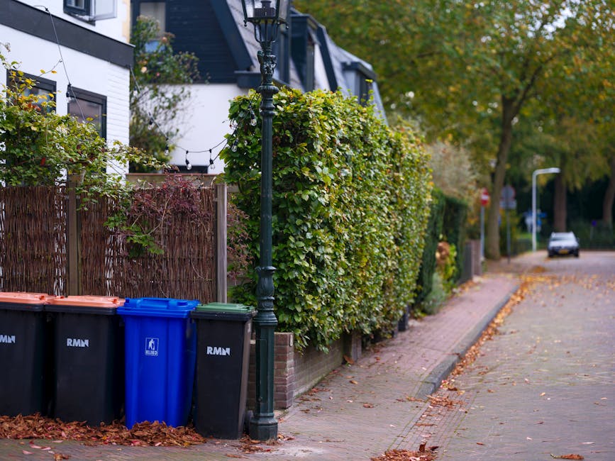 A residential street scene in Putney with a row of four large waste bins positioned on the sidewalk next to a wooden fence and a tall, black street lamp post. The bins include two black containers, a blue bin, and a green-lidded bin, all branded with 'RMN' and placed against dense, well-maintained green hedges that run along the property boundary. The sidewalk is covered with fallen autumn leaves, and the street curves gently with a car parked further down, surrounded by trees with green and yellow foliage. The scene is illuminated by natural, soft daylight, highlighting the clean, orderly appearance of the area, which may be maintained by services like Carpet Cleaning Putney for cleanliness and waste management compliance.